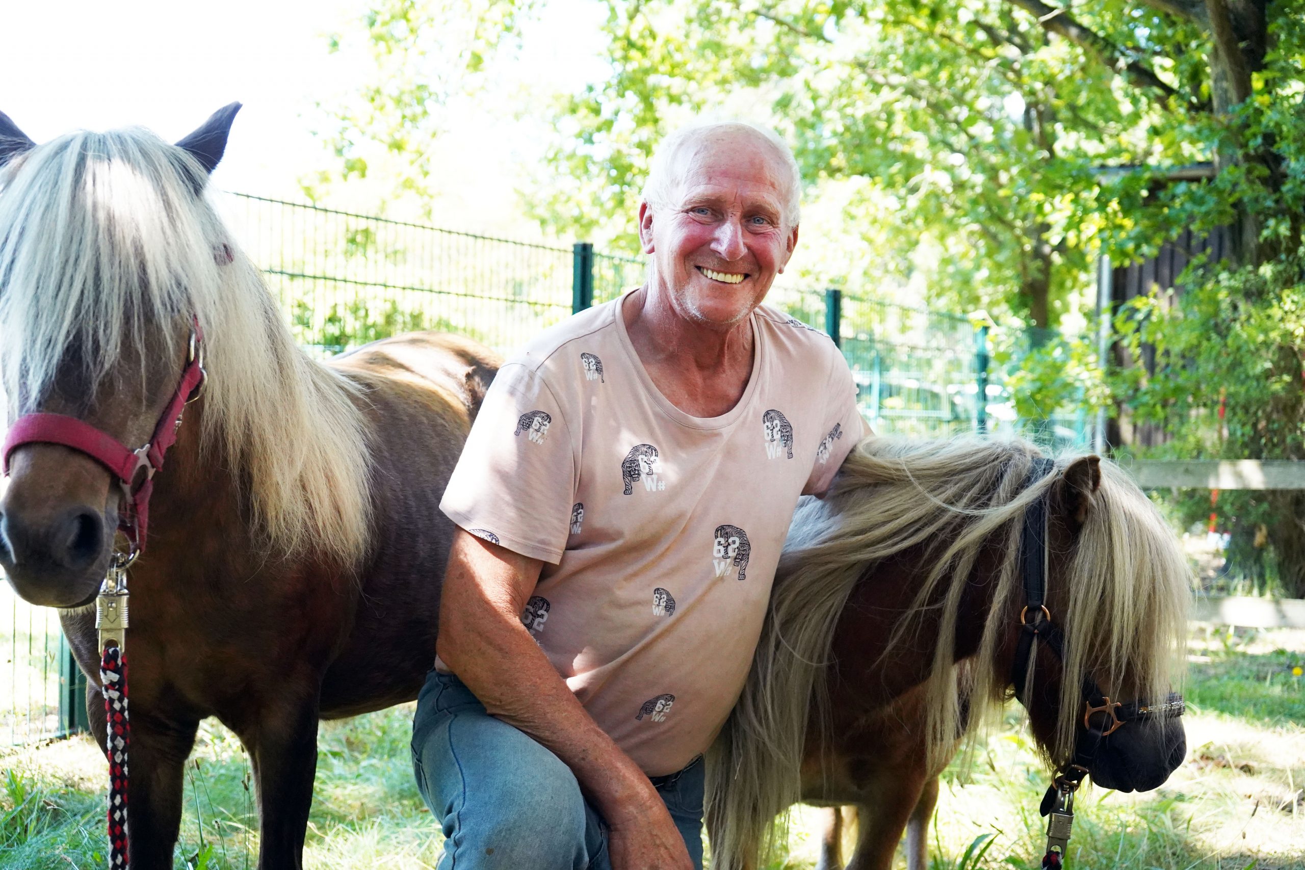 Ein älterer Herr hockt lächelnd zwischen zwei kleinen Ponys.