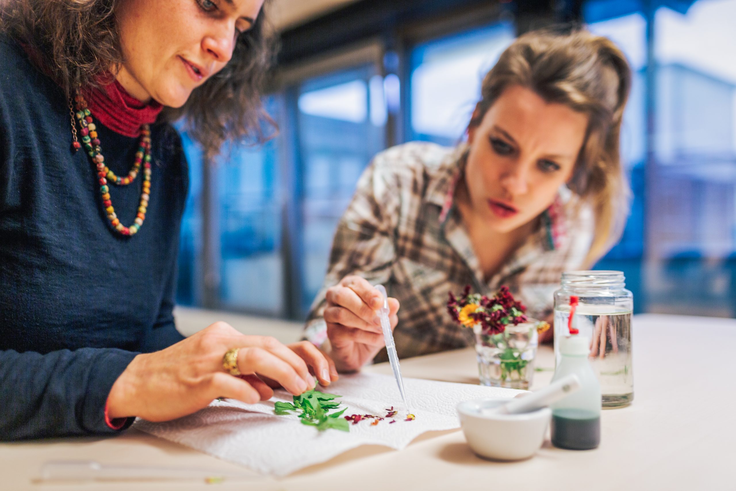 Zwei Frauen legen Blätter auf ein Stück Küchenrolle und tropfen mit einer Pinzette Wasser auf diese.